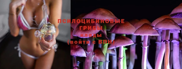 шишки Армянск
